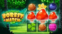 Forest Match - Puzzle Game