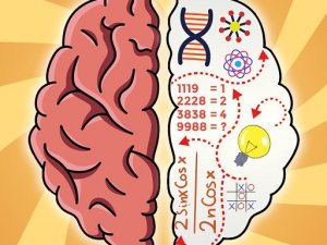 Brain Puzzle: Clever Puzzles