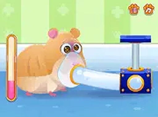 Pet Rescue Online Game