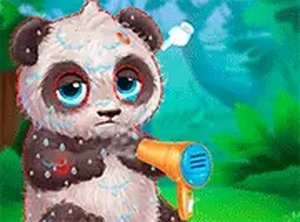 Wild Animal Care and Salon Online Game