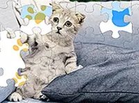 Jigsaw Puzzle Cats & Kitten Online Game