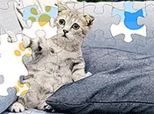 Jigsaw Puzzle Cats & Kitten Online Game